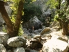 In ELeni's blog: 'Secret cool waterholes, Ikaria, August'